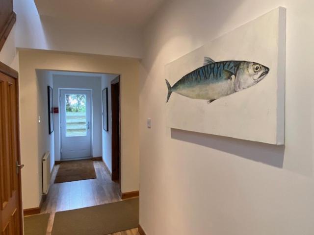 Quinag - Luxury Villa With Sea Views In Achiltibuie Bagian luar foto